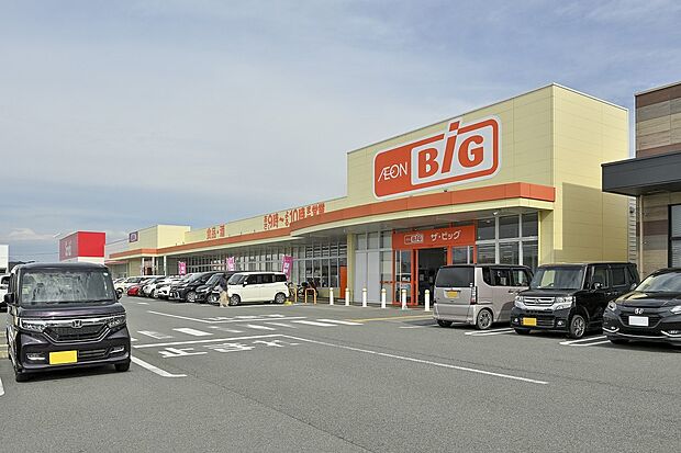 ザ・ビッグ 菊陽店(約1,300m)