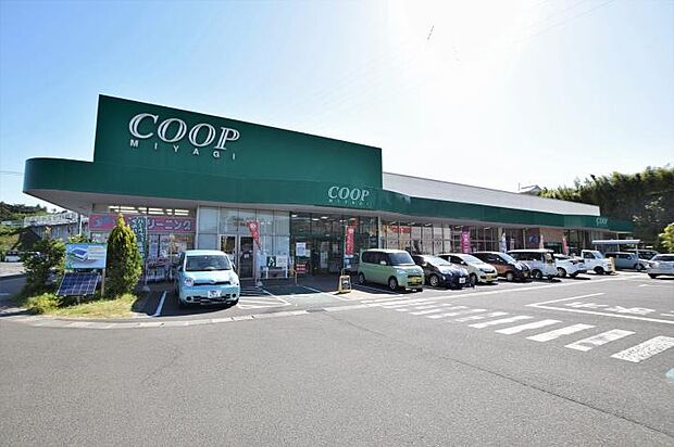 COOP塩釜栄町店（約850m）