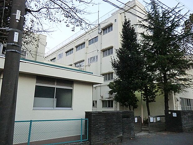 横浜市立常盤台小学校（約1,030m）