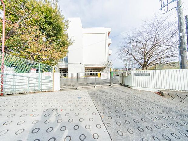 横浜市立善部小学校（約580m）