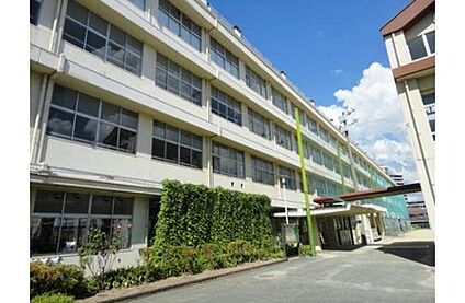 広島市立仁保小学校 1375ｍ(徒歩18分)