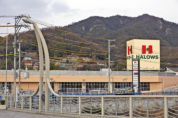 スーパー（約593m）