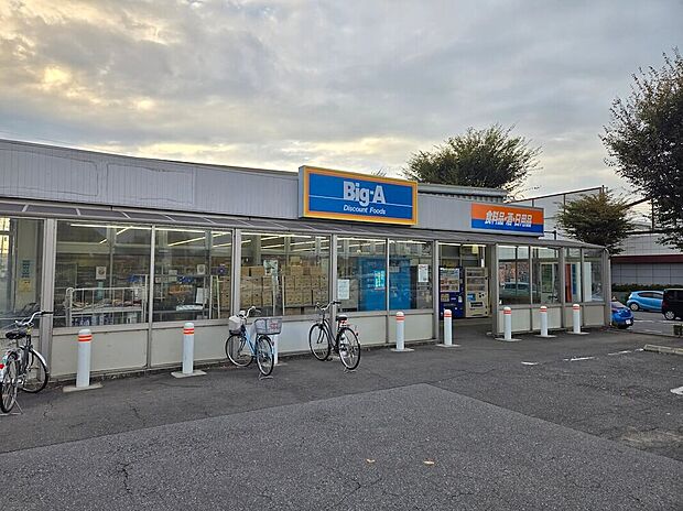 ビッグ・エー北守谷店