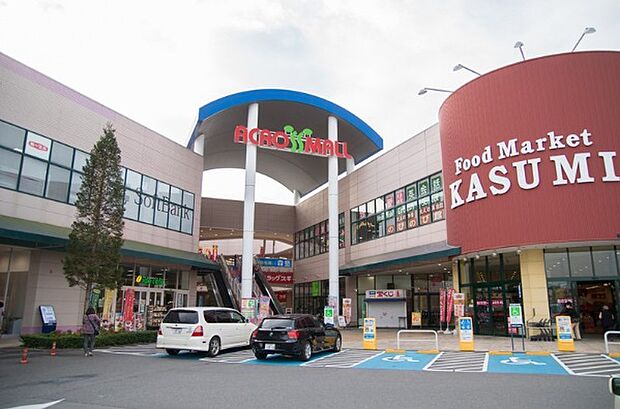 アベイルアクロスモール守谷店（約511m）