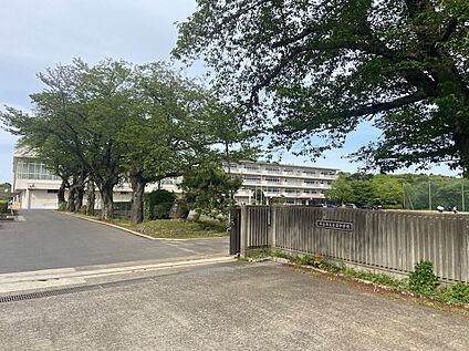 守谷市立愛宕中学校 約1500m