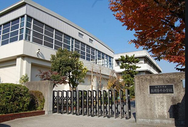 長岡第十小学校