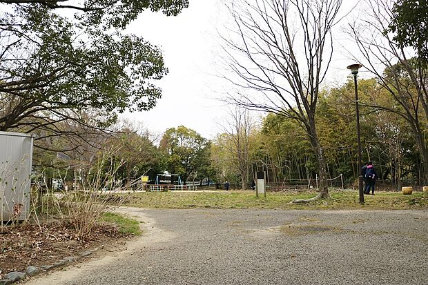 新林池公園