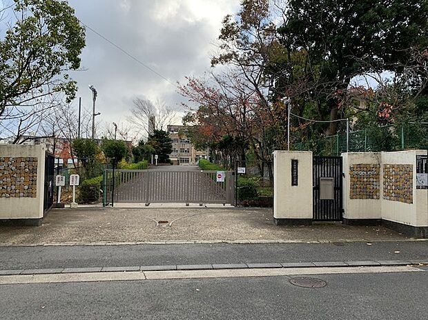 新林小学校