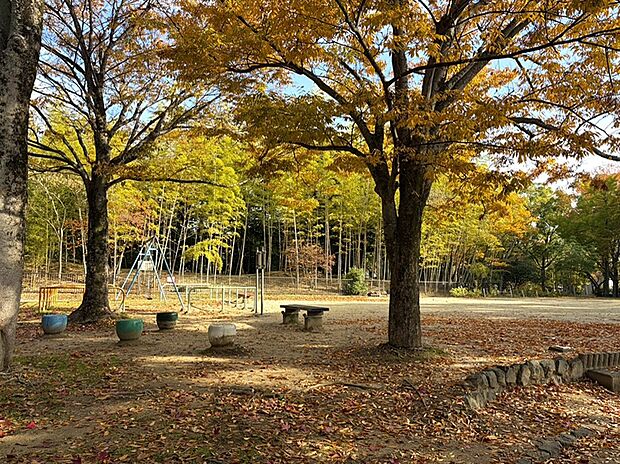 新林池公園