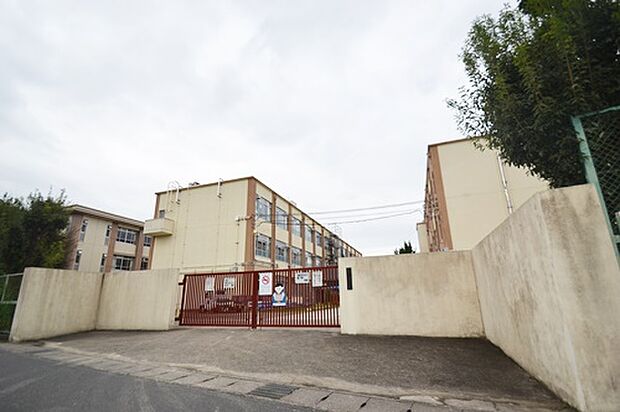 桂川小学校
