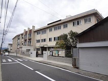 勝山中学校  約903ｍ(歩12分)