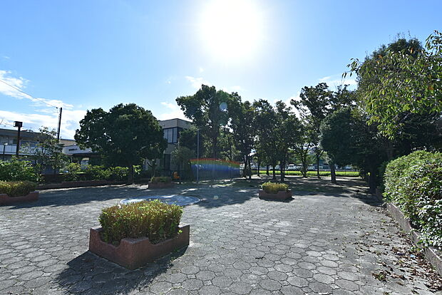 ひまわり公園