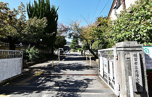 向陽小学校