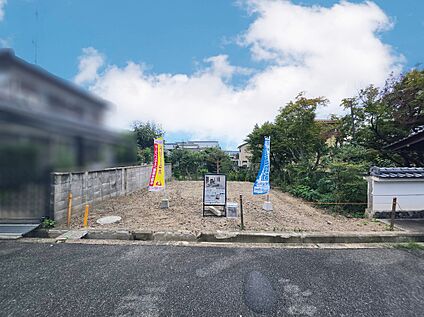現地写真