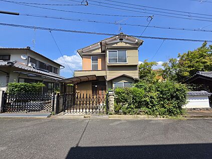 現地写真