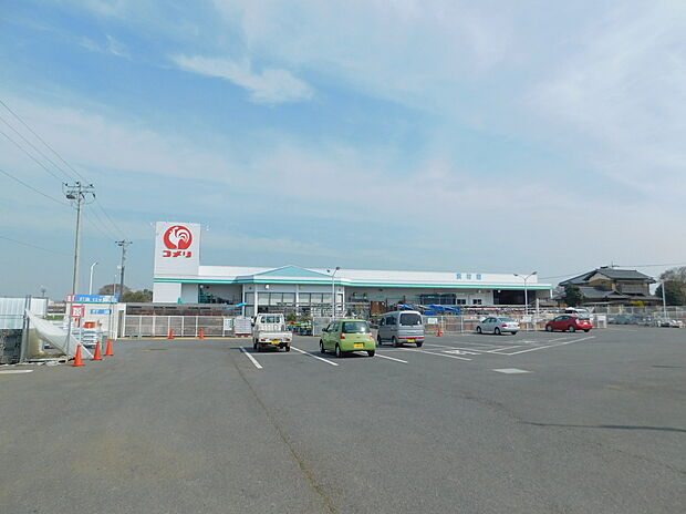 コメリハード&グリーン