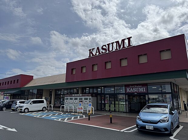 カスミ三里塚店（約880m）