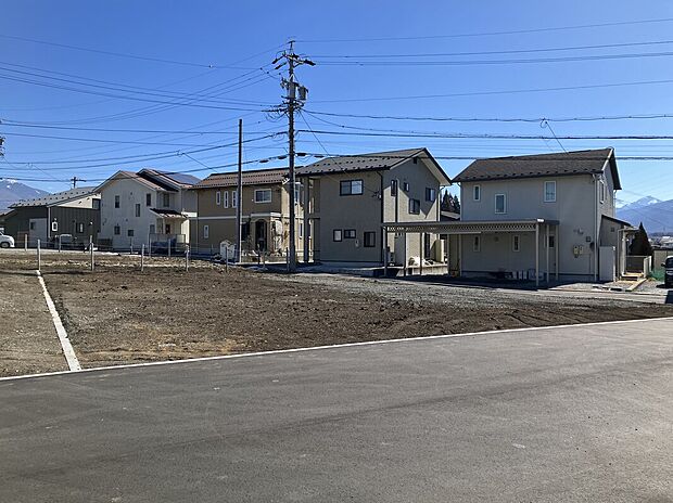 1号地（2026年2月撮影）