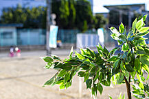 大阪府大阪市東淀川区豊里2丁目：物件画像