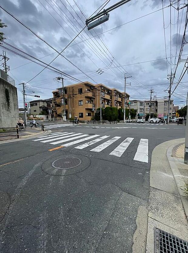 【【前面道路含む現地写真】】北側公道の写真です。幅員約13.7mで見通しの良い道路に面しています。明るく開放的な立地が魅力です。