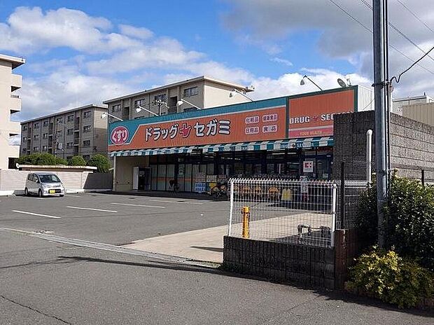 ココカラファイン ドラッグセガミ 井高野店