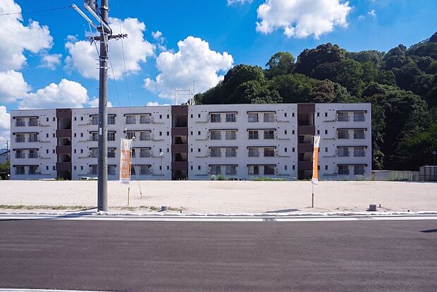 【現地写真】現地（2026年6月）撮影