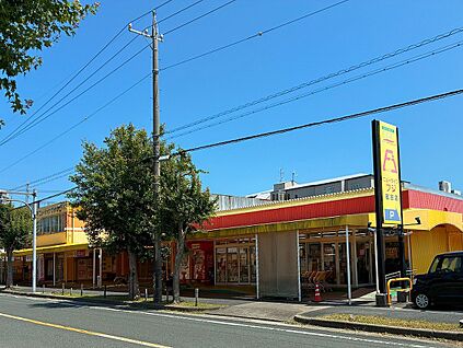 ニューライフフジ岩田店 約700ｍ