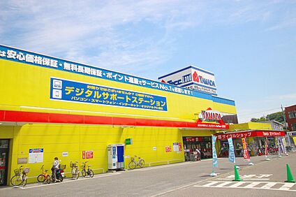 ヤマダデンキテックランド　向ヶ丘店 750m(10分)