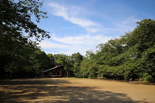 綱島公園（約900m）