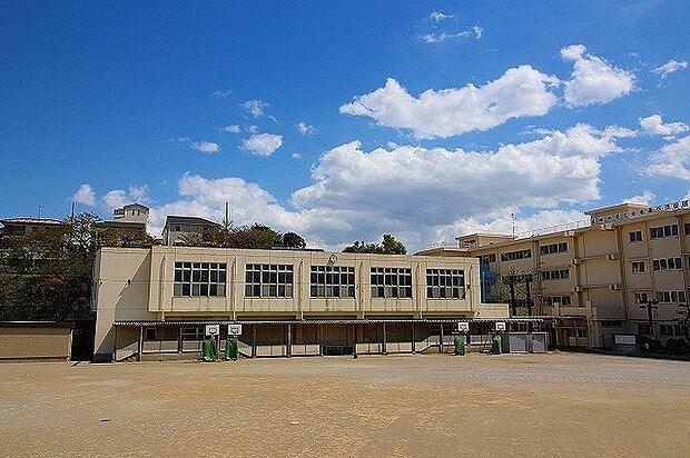 生田小学校 (約500m・徒歩7分)