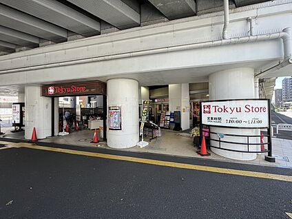 東急ストア高津店 1100m
