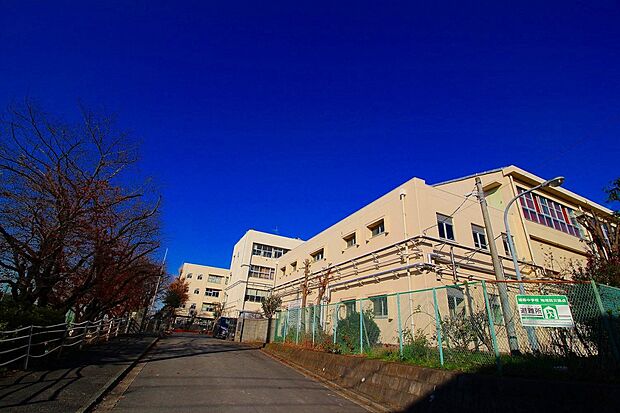 城郷中学校(約900m・徒歩12分)