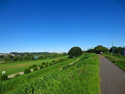 多摩川 500m(7分)