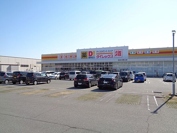 ダイレックス野口店