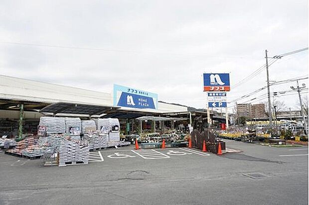 ホームプラザナフコ南那珂川店(約1,456m)