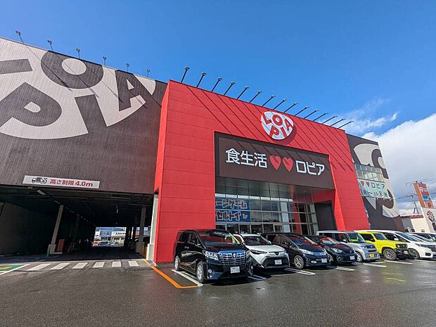 ロピア福岡白水店(約729m)