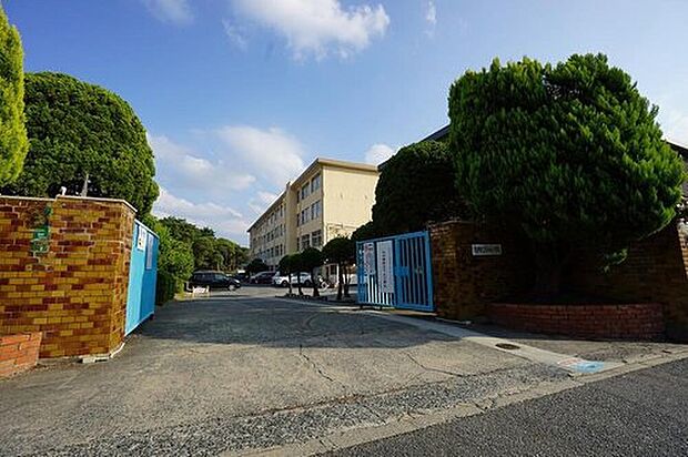 福岡市立美和台小学校(約500m)