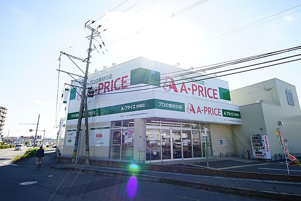 Aプライス松崎店(約951m・徒歩12分)