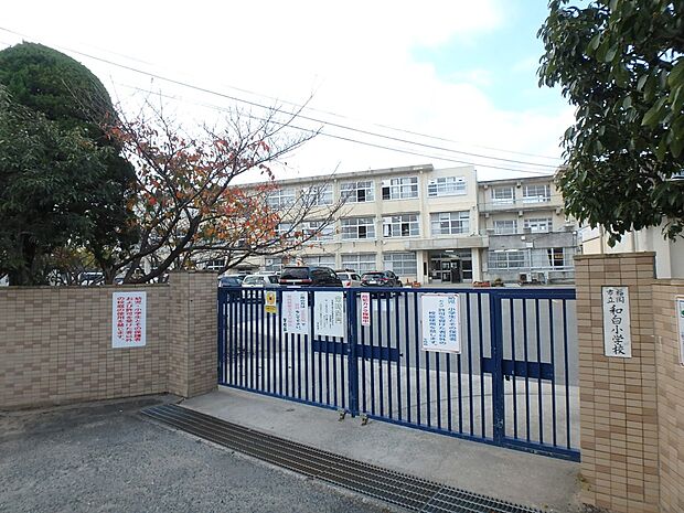 福岡市立和白小学校(約850m・徒歩11分)
