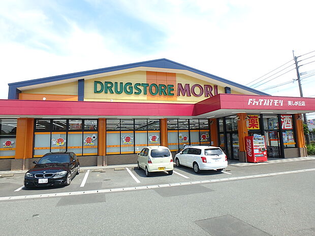 ドラッグストアモリ美しが丘店(約300m・徒歩4分)