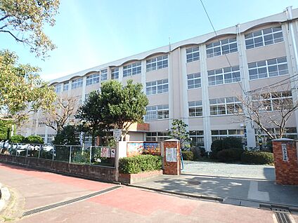 福岡市立奈多小学校 1100m(14分)