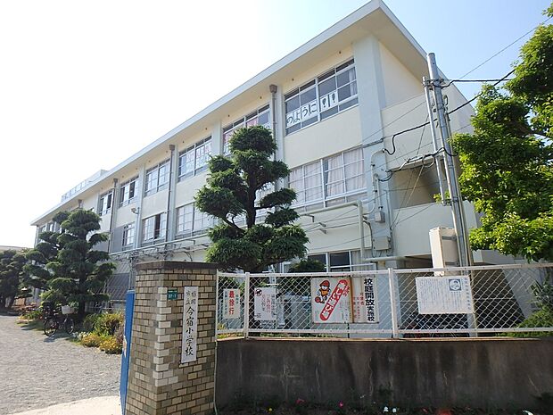 福岡市立今宿小学校（約1,300m・徒歩17分）
