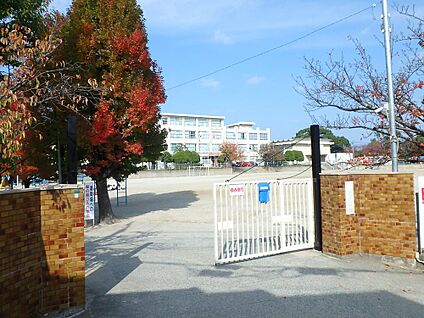福岡市立香住丘小学校 800m(10分)