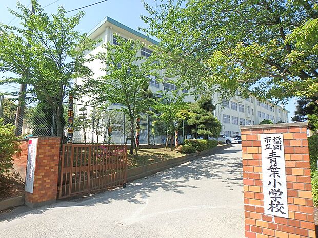 福岡市立青葉小学校（約750m・徒歩10分）