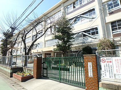 福岡市立西花畑小学校 1000m(13分)