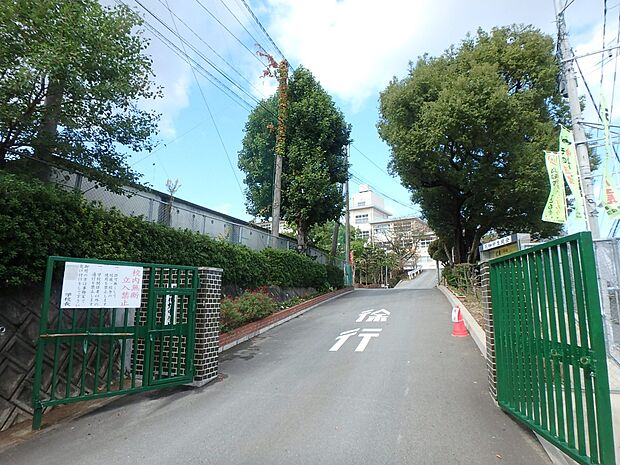 福岡市立花畑中学校（約1,200m・徒歩15分）