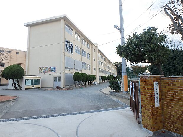 福岡市立多々良中央中学校（約600m・徒歩8分）