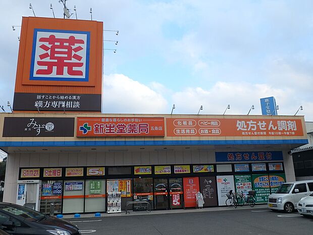 ドラッグ新生堂　五条店（約780m・徒歩10分）