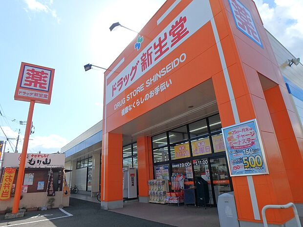 ドラッグ新生堂 昇町店(約900m・徒歩12分)