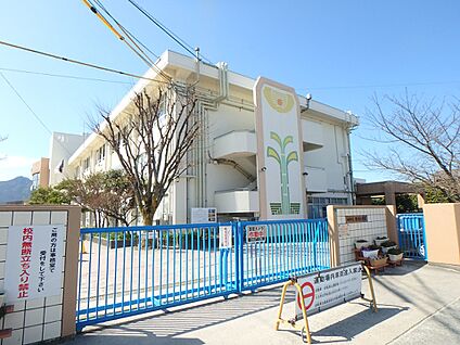 福岡市立田村小学校 800m(10分)
